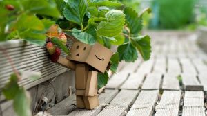 29393-danbo-picking-strawberries-1920x1080-photography-wallpaper